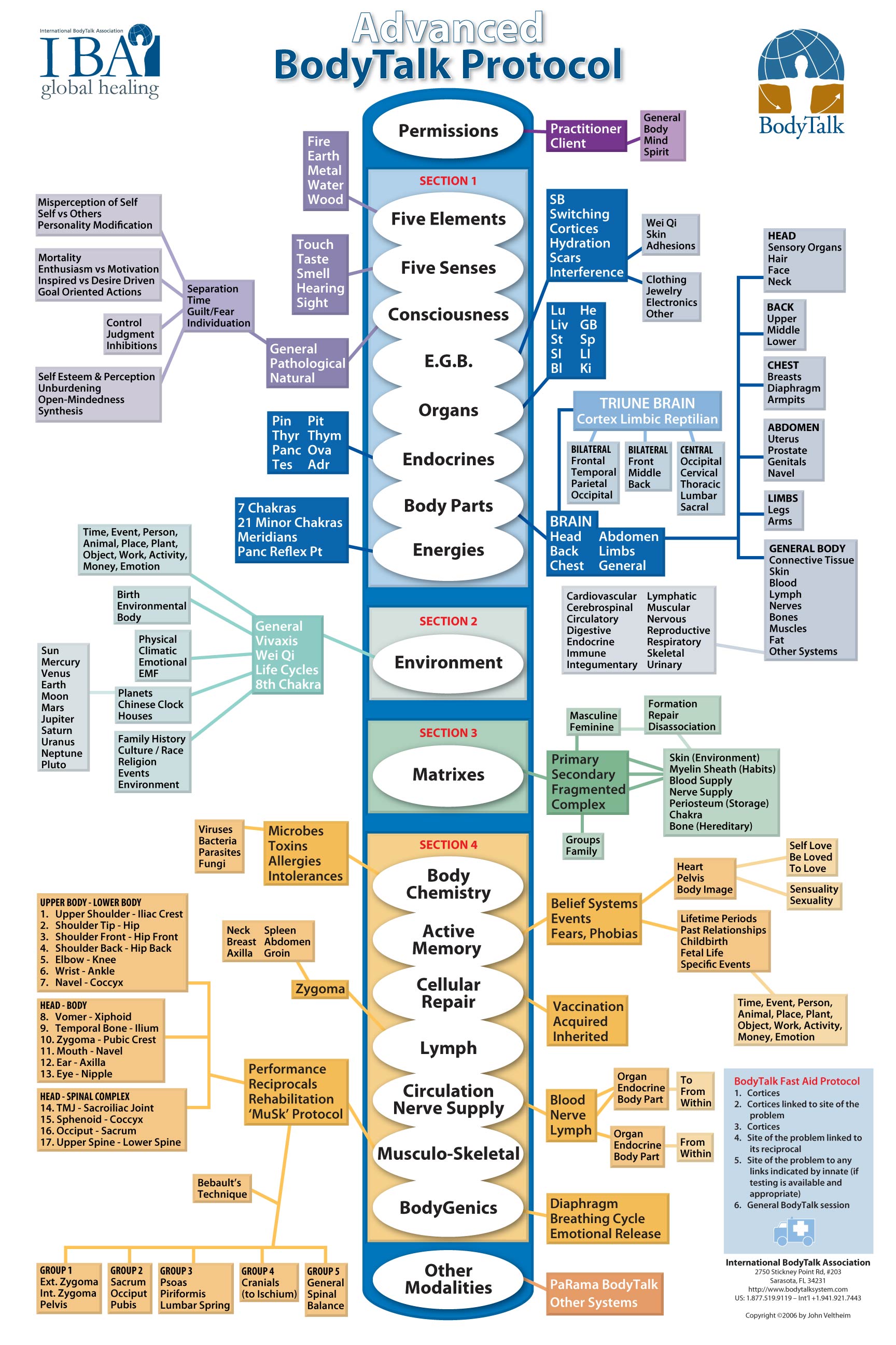  The BodyTalk System ADVANCED Protocol - POSTER